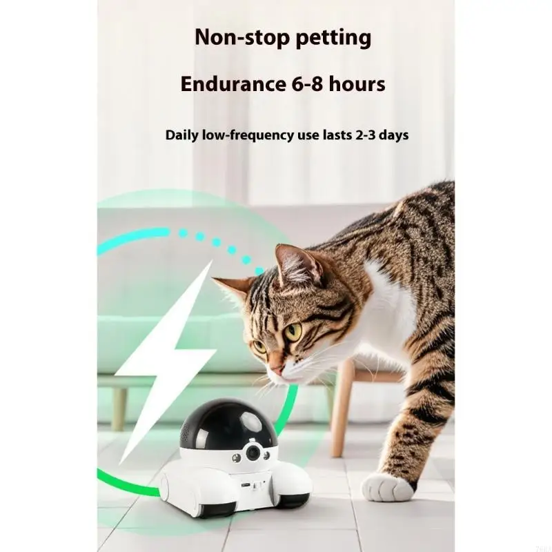 كاميرا الحيوانات الأليفة الدوا - مراجعة Home Security Training وسعره